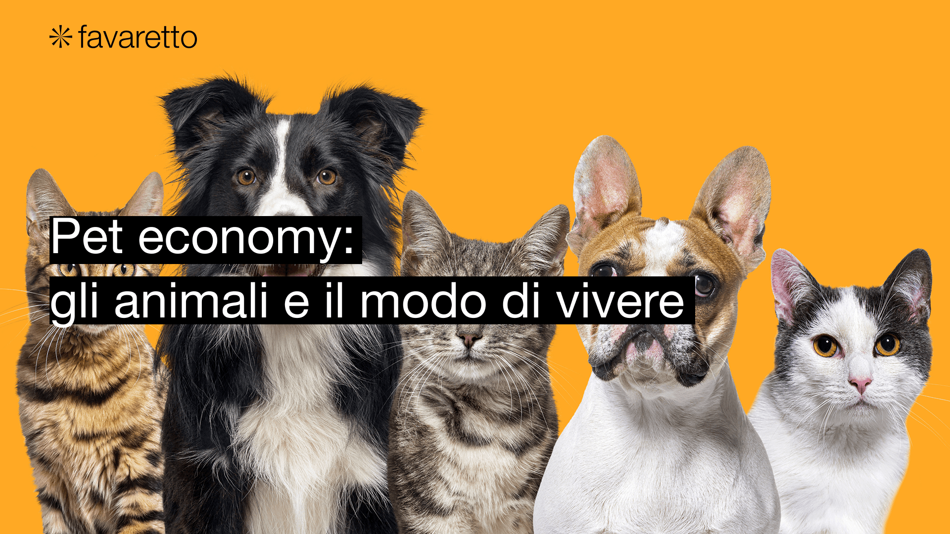 pet economy